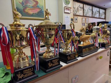 ジミー＆ジャッキー来日