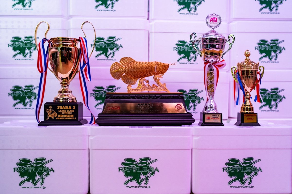 画像16: スーパーレッド（アルファ）  NO.49 (16)