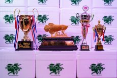 画像16: スーパーレッド（アルファ）  NO.49 (16)