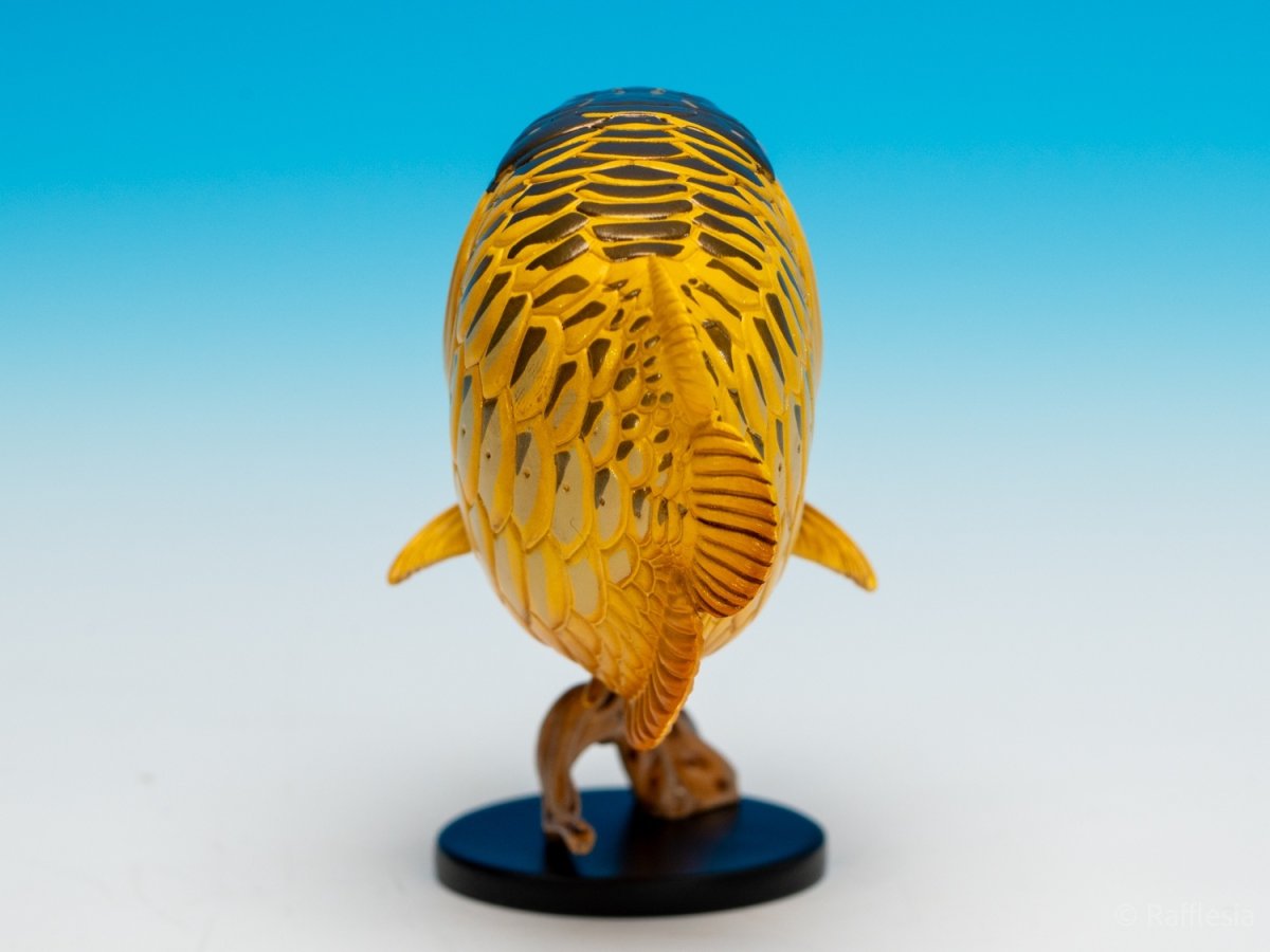 画像9: アジアアロワナ（金）【動画あり】 (9)