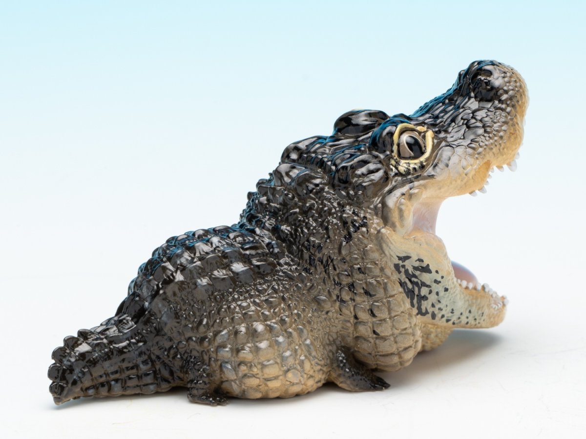 画像3: ヨウスコウアリゲーター（開口） (3)