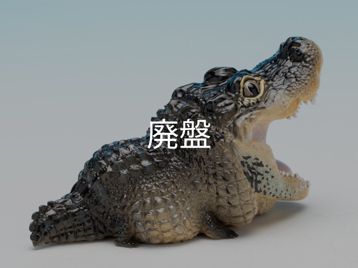 画像3: ヨウスコウアリゲーター（開口） (3)