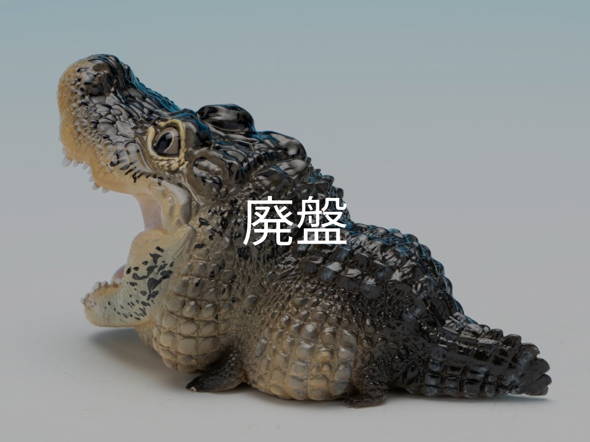 画像5: ヨウスコウアリゲーター（開口） (5)