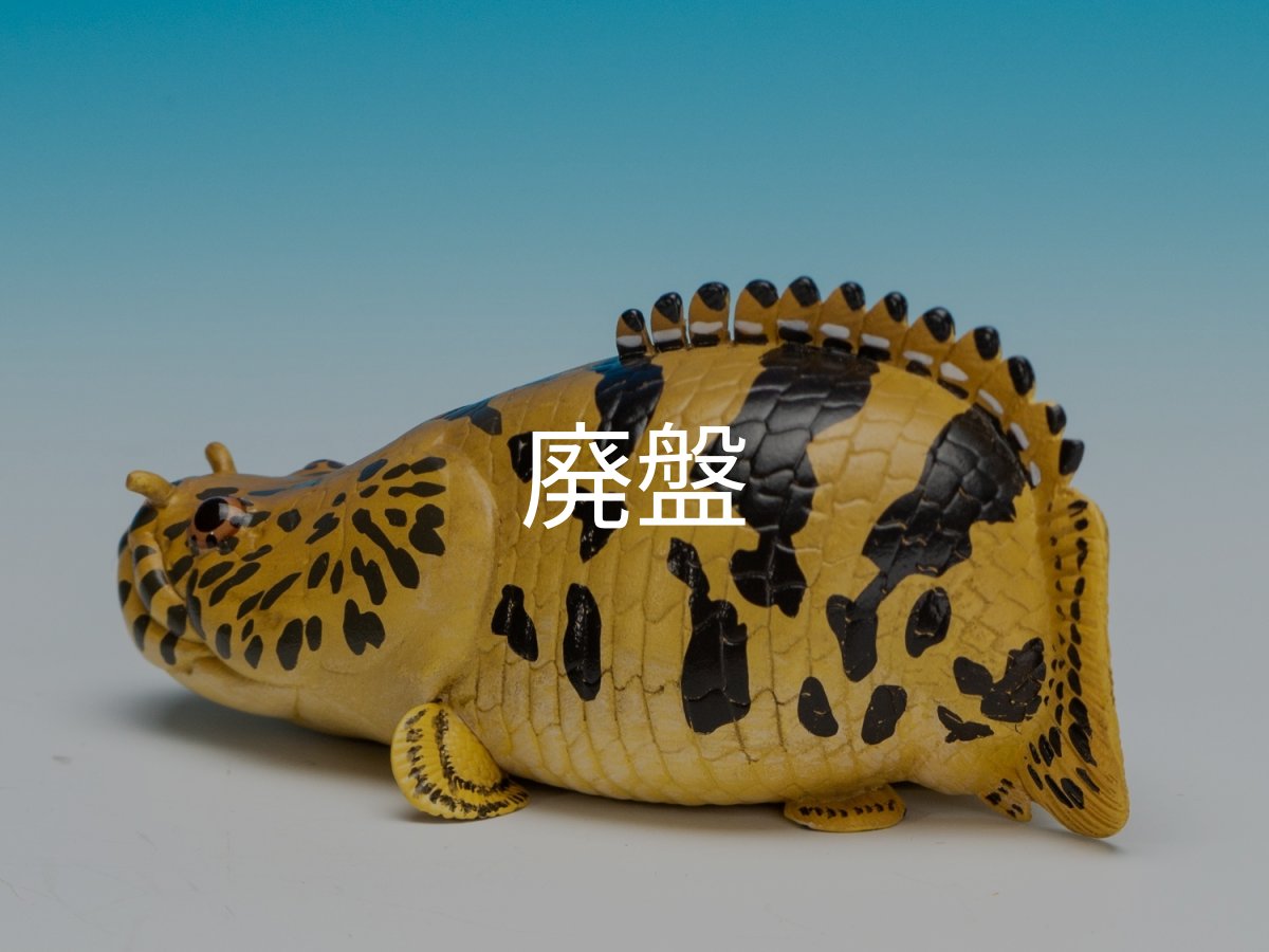 画像5: ポリプテルス・エンドリケリー (5)