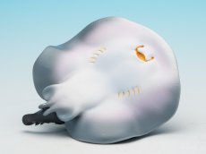 画像9: ポルカドットスティングレイ (9)