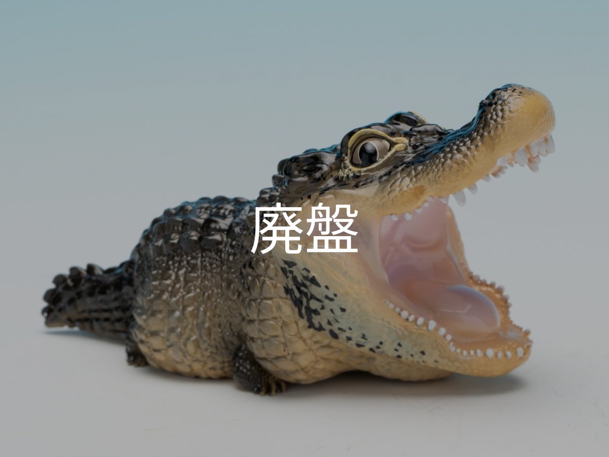 画像1: ヨウスコウアリゲーター（開口） (1)