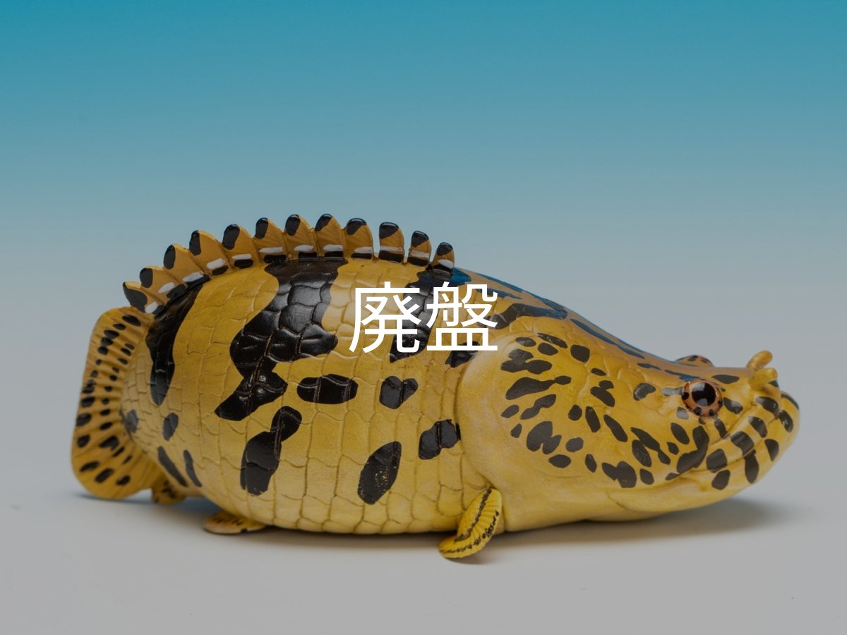 画像7: ポリプテルス・エンドリケリー (7)