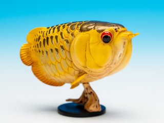 動物の惑星（魚） - アジアアロワナ専門店ラフレシア