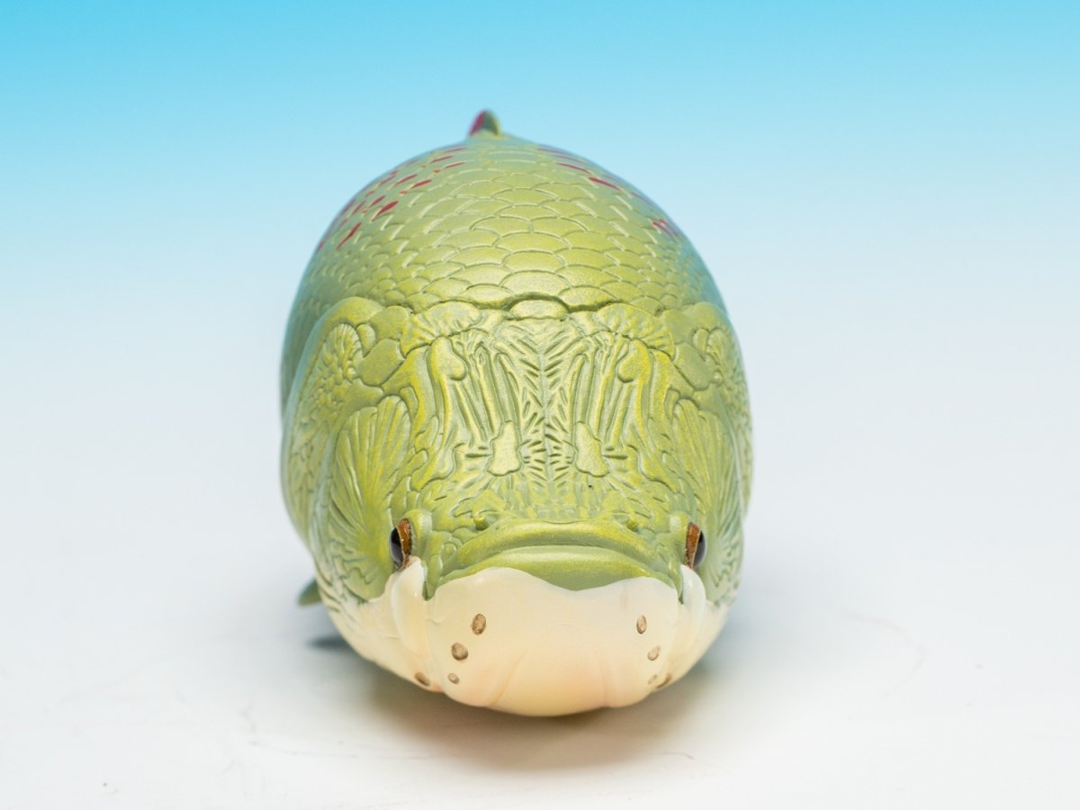 画像3: ピラルクー (3)