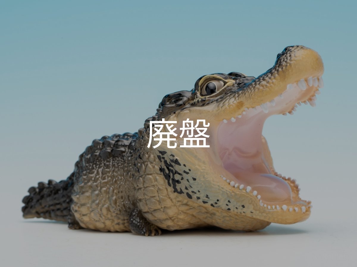 画像9: ヨウスコウアリゲーター（開口） (9)