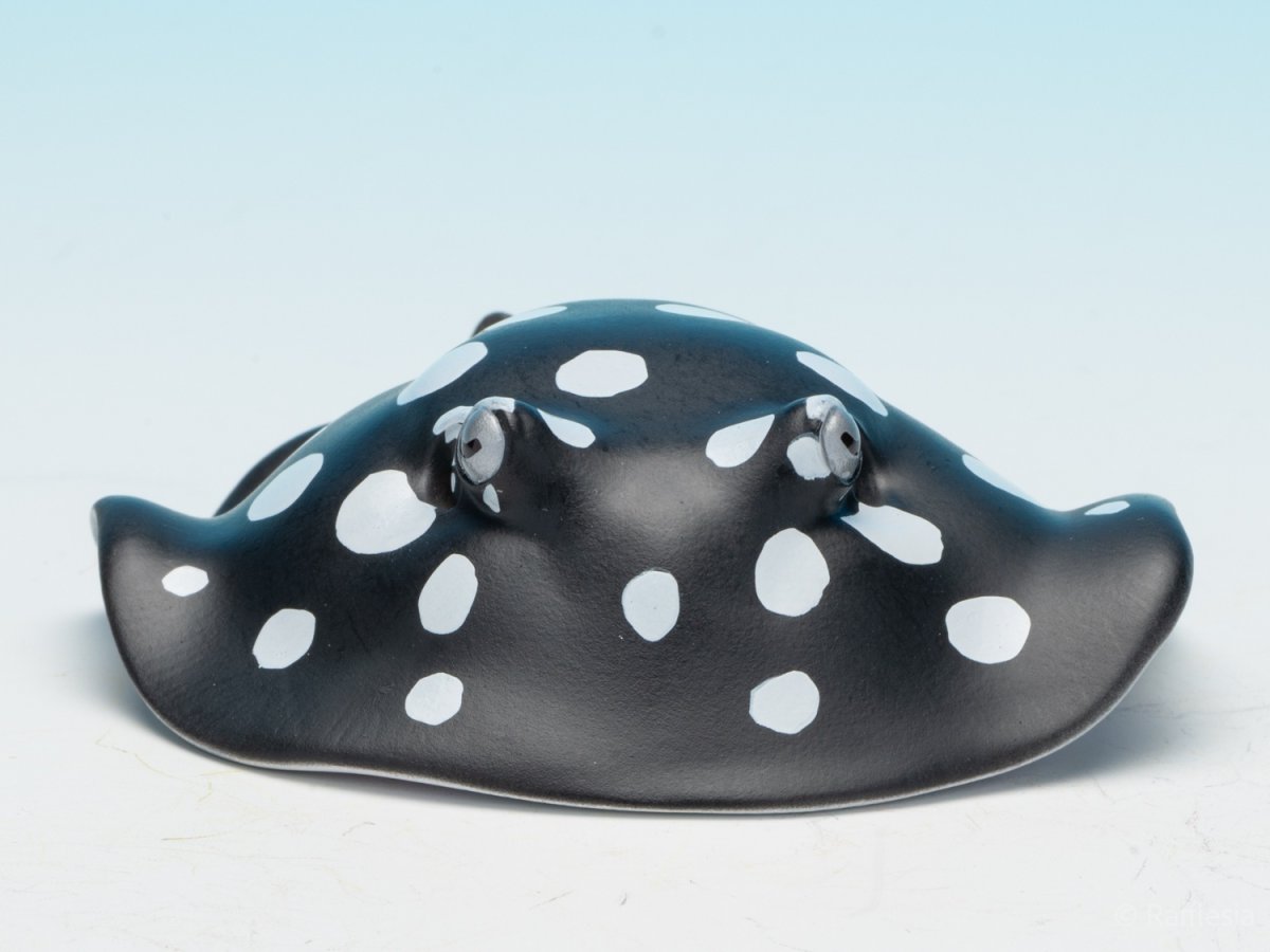 画像2: ポルカドットスティングレイ (2)
