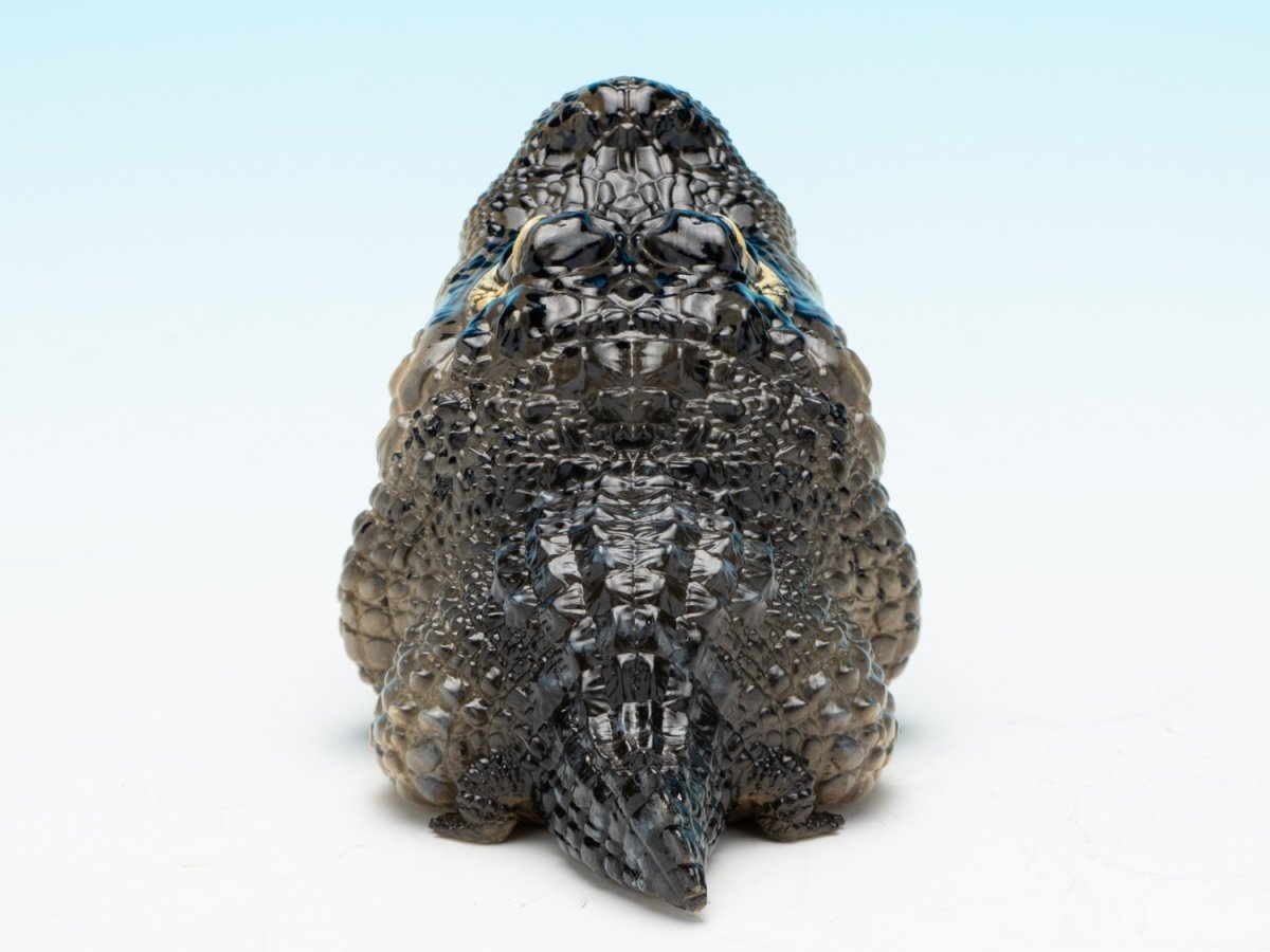 画像4: ヨウスコウアリゲーター（開口） (4)