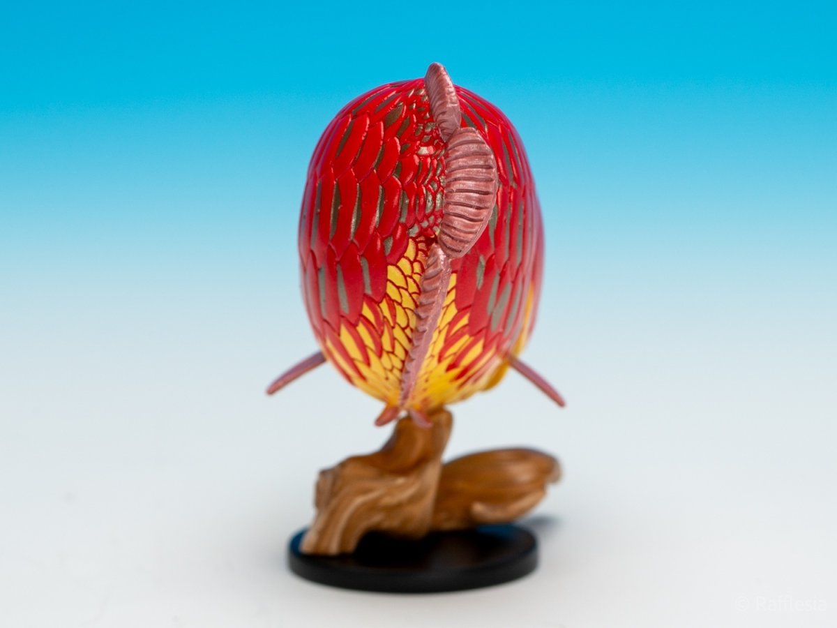 画像9: アジアアロワナ（赤）【動画あり】 (9)