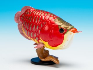 動物の惑星（魚） - アジアアロワナ専門店ラフレシア