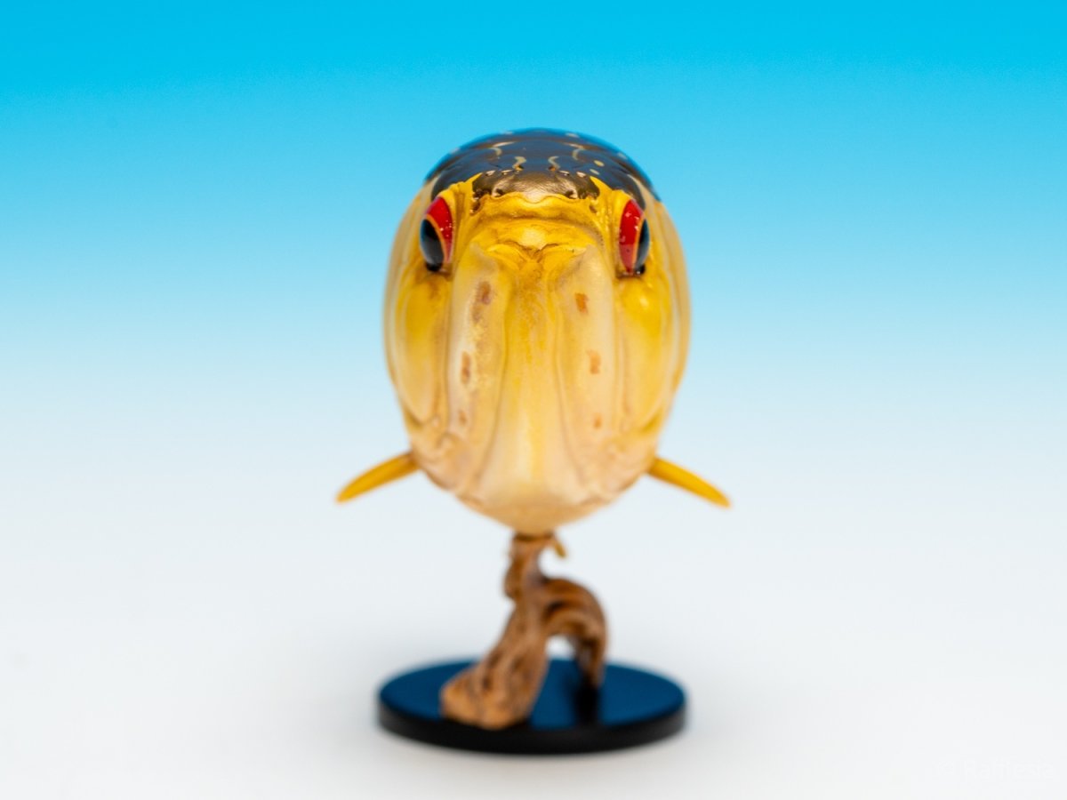 画像4: アジアアロワナ（金）【動画あり】 (4)