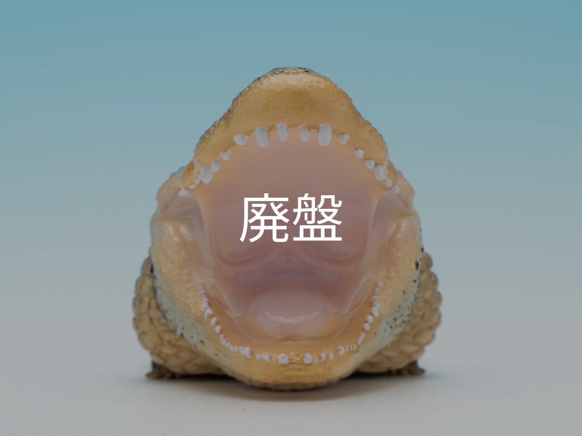 画像8: ヨウスコウアリゲーター（開口） (8)