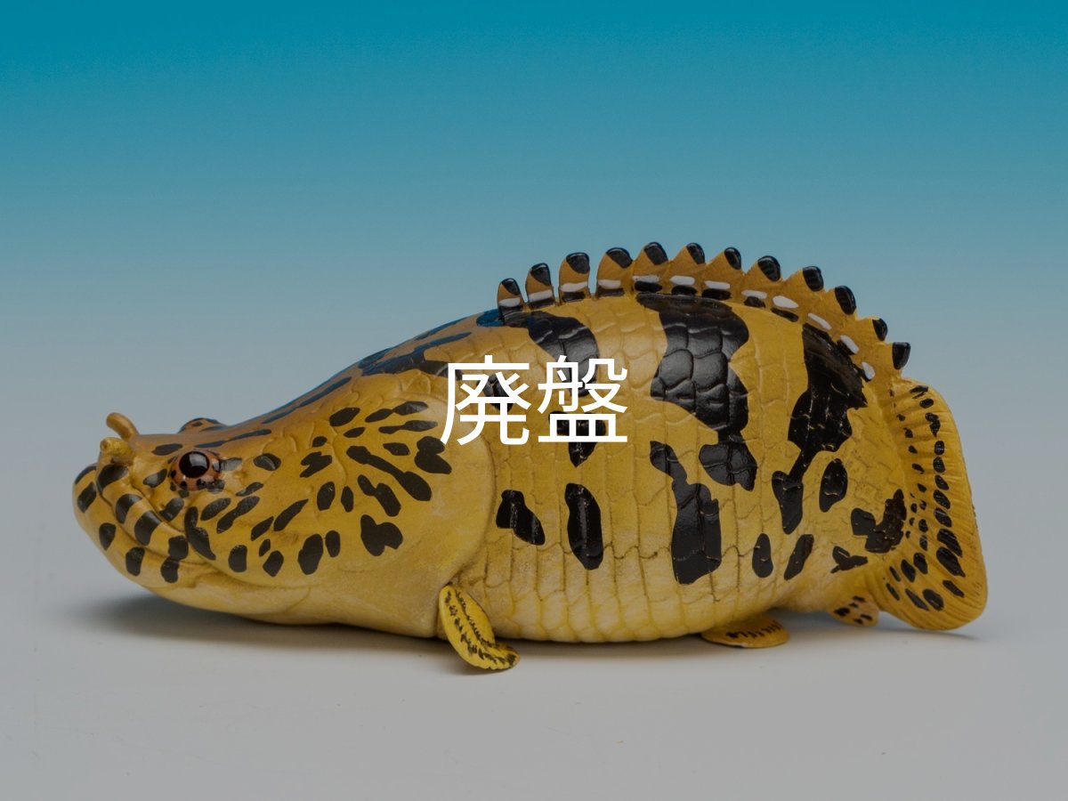 画像4: ポリプテルス・エンドリケリー (4)