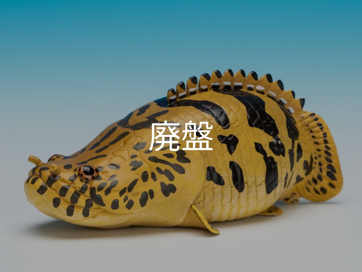 画像2: ポリプテルス・エンドリケリー (2)