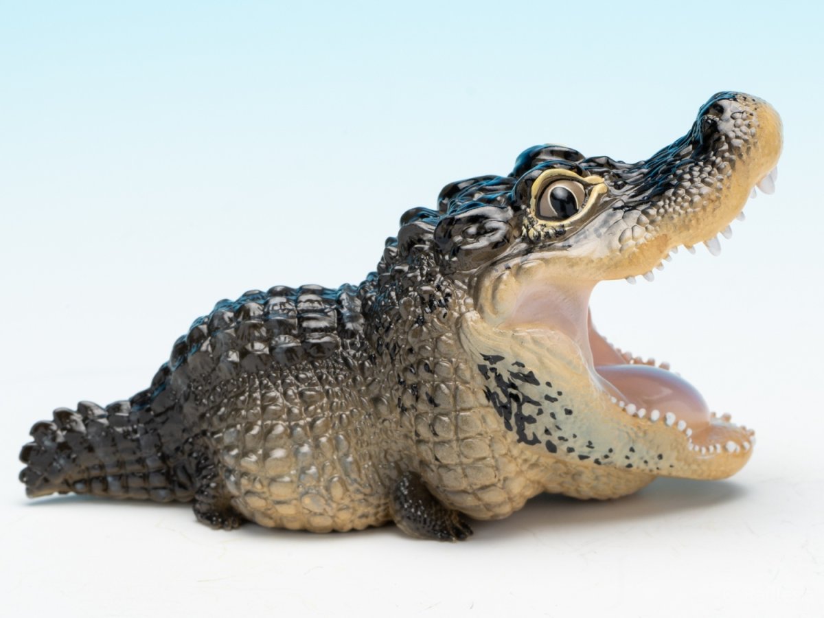 画像2: ヨウスコウアリゲーター（開口） (2)