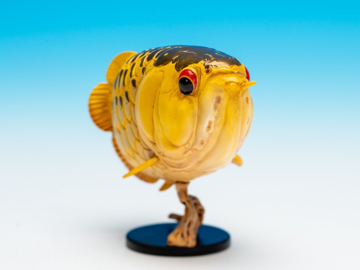 画像3: アジアアロワナ（金）【動画あり】 (3)