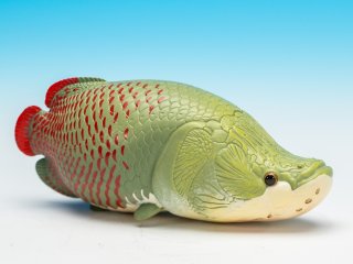 動物の惑星（魚） - アジアアロワナ専門店ラフレシア