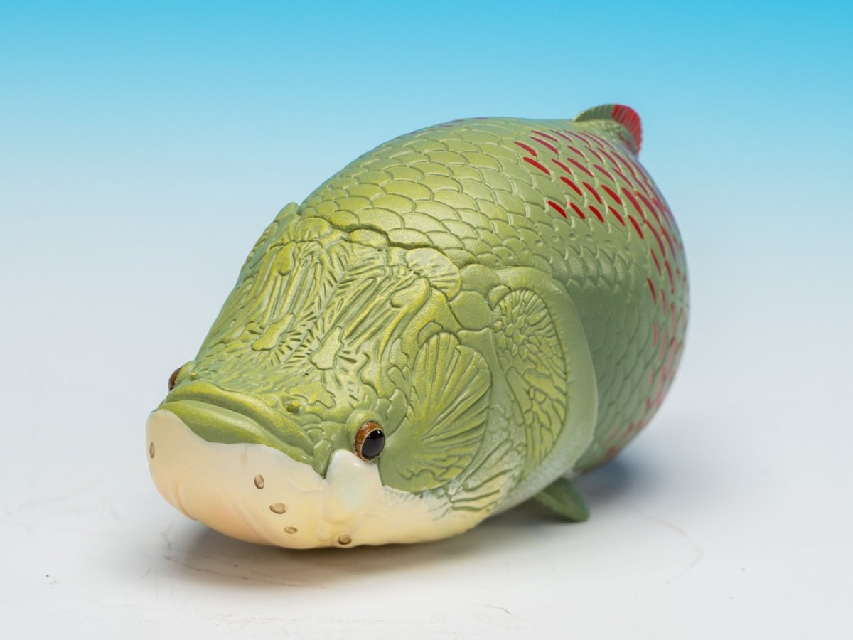 画像4: ピラルクー (4)