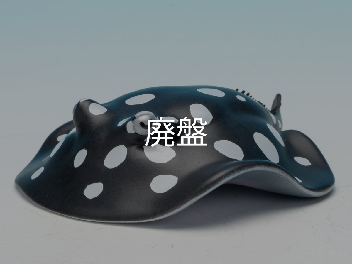 画像4: ポルカドットスティングレイ (4)