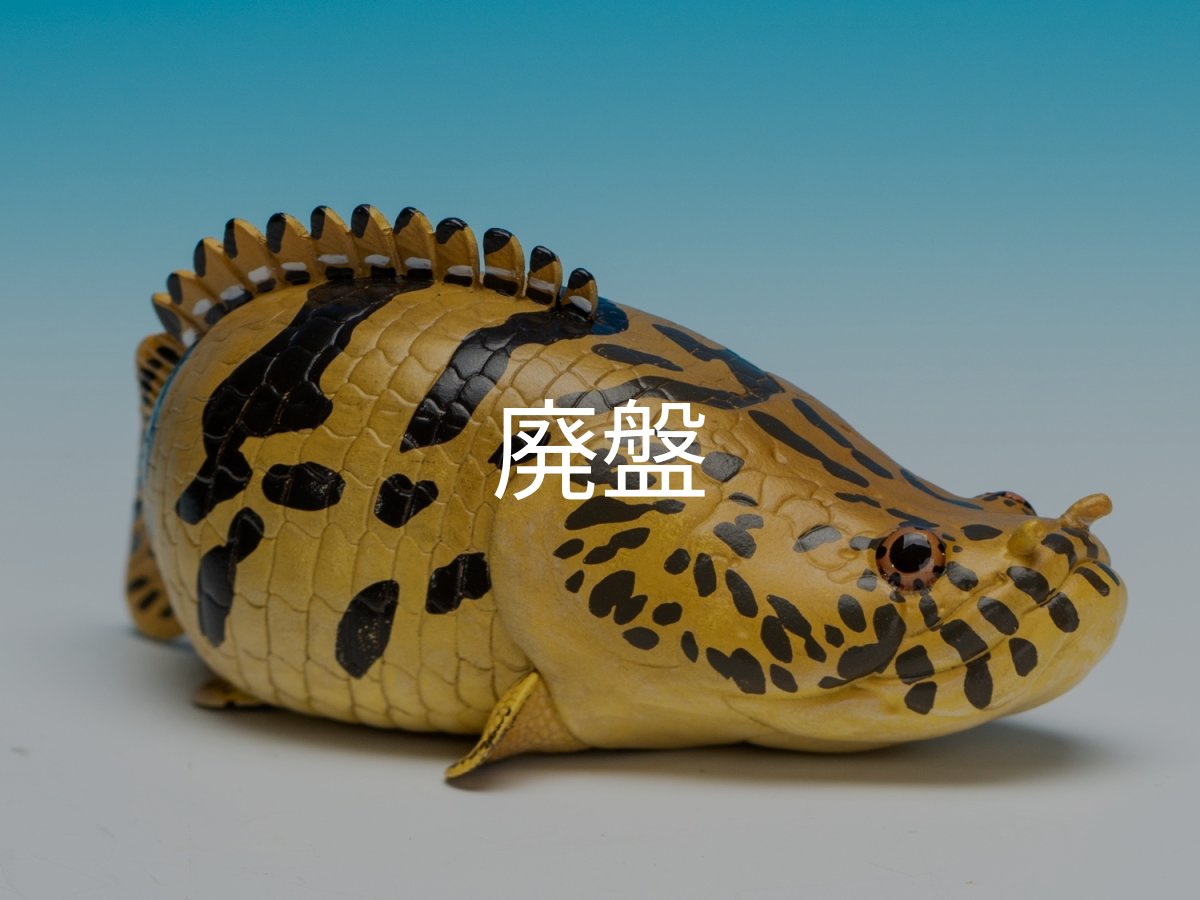 画像1: ポリプテルス・エンドリケリー (1)