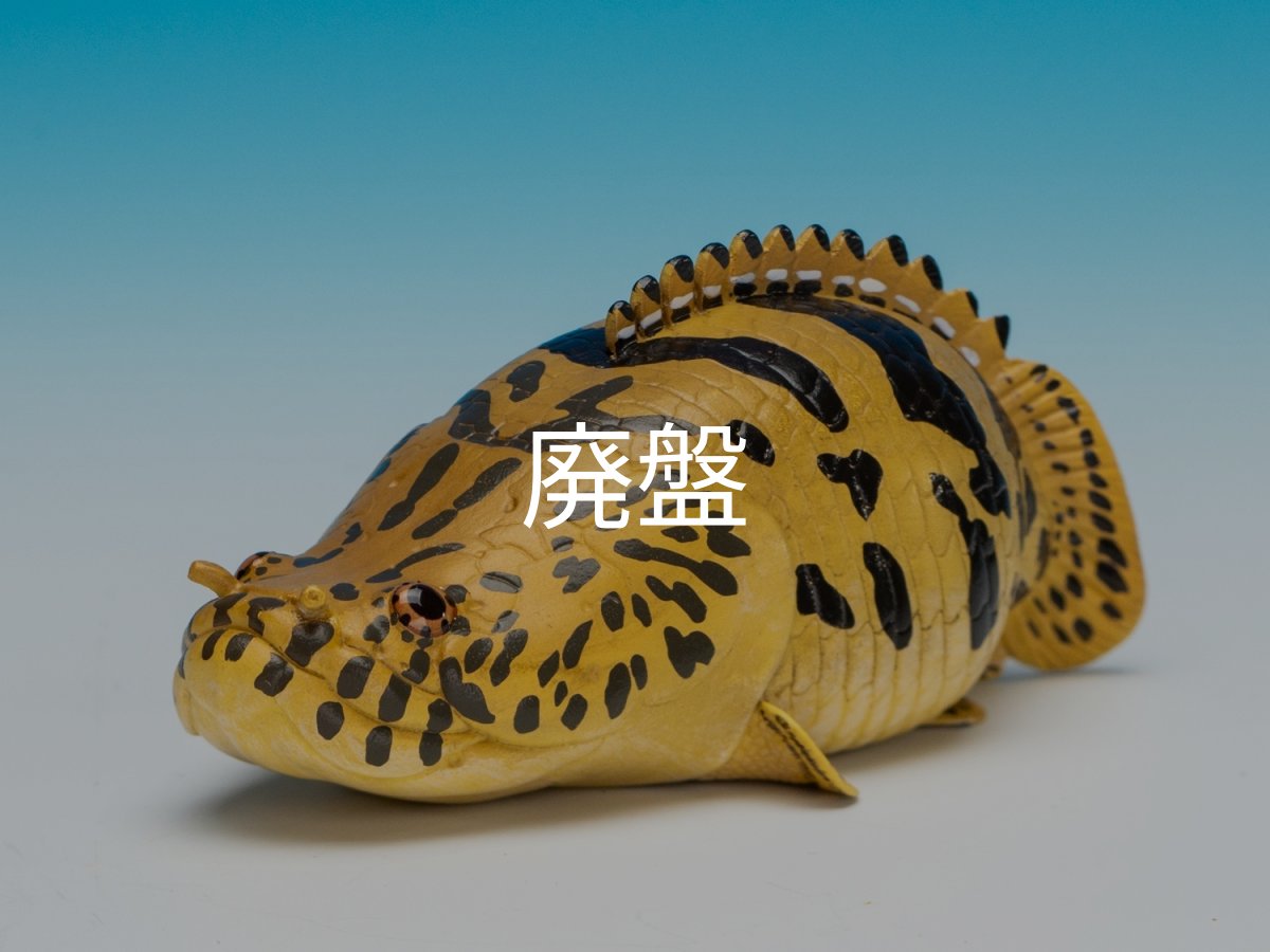 画像3: ポリプテルス・エンドリケリー (3)