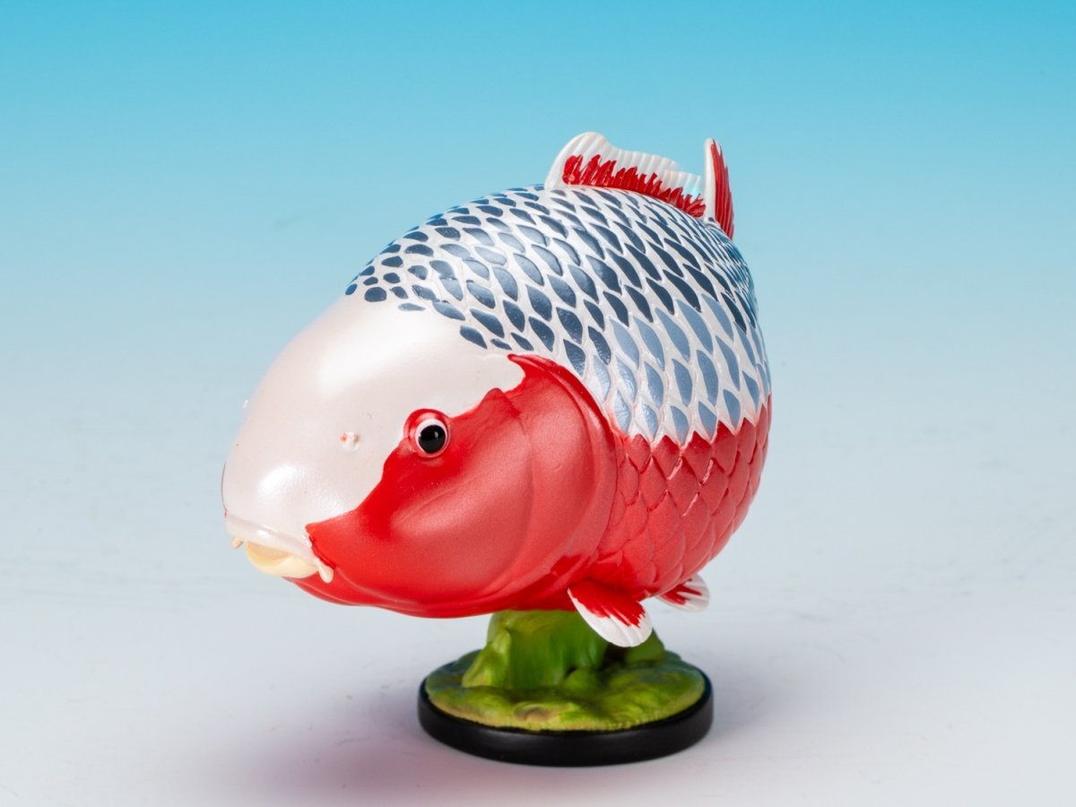 画像2: 錦鯉（浅黄） (2)