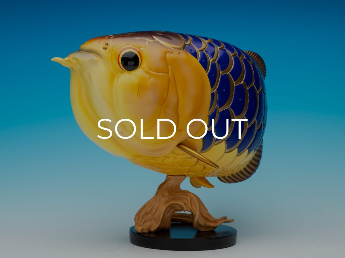 画像4: アジアアロワナ金龍 PLUS (4)