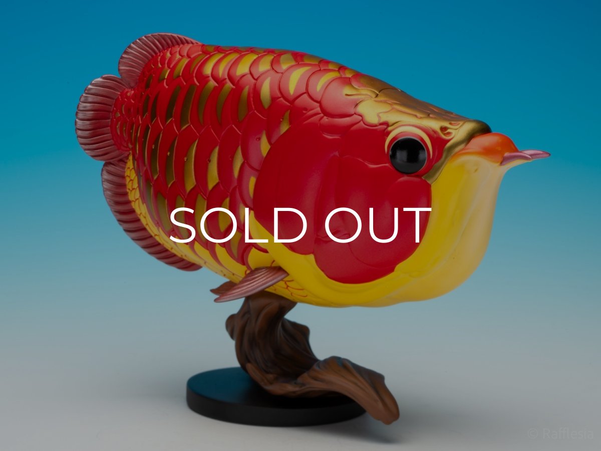 画像2: アジアアロワナ紅龍 PLUS (2)