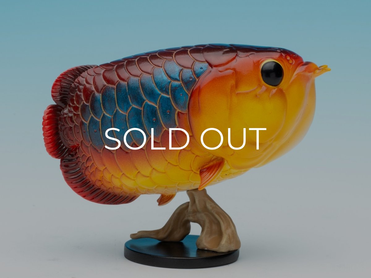 画像7: アジアアロワナ（シークレット） (7)