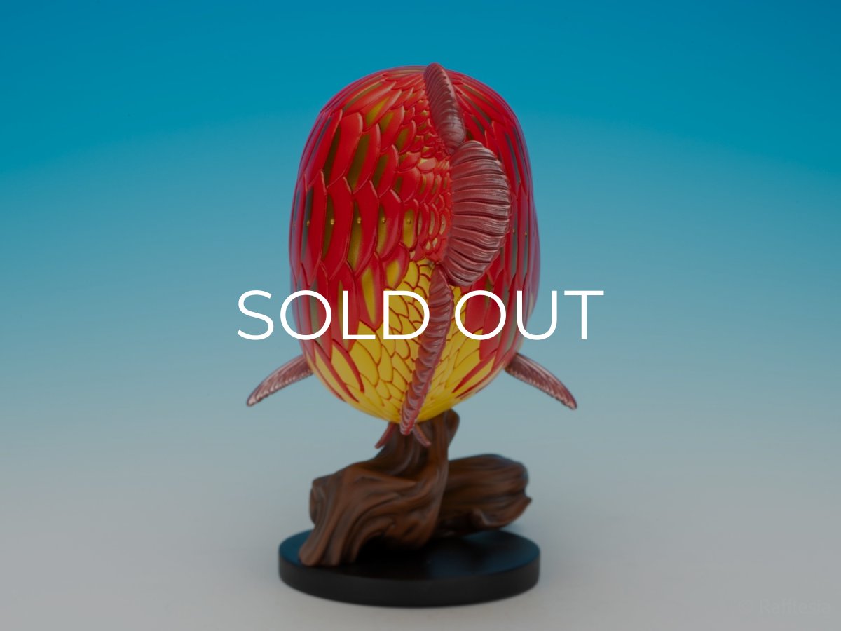 画像7: アジアアロワナ紅龍 PLUS (7)