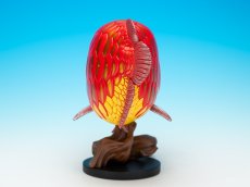 画像7: アジアアロワナ紅龍 PLUS (7)
