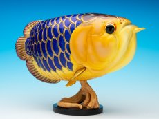 画像1: アジアアロワナ金龍 PLUS (1)