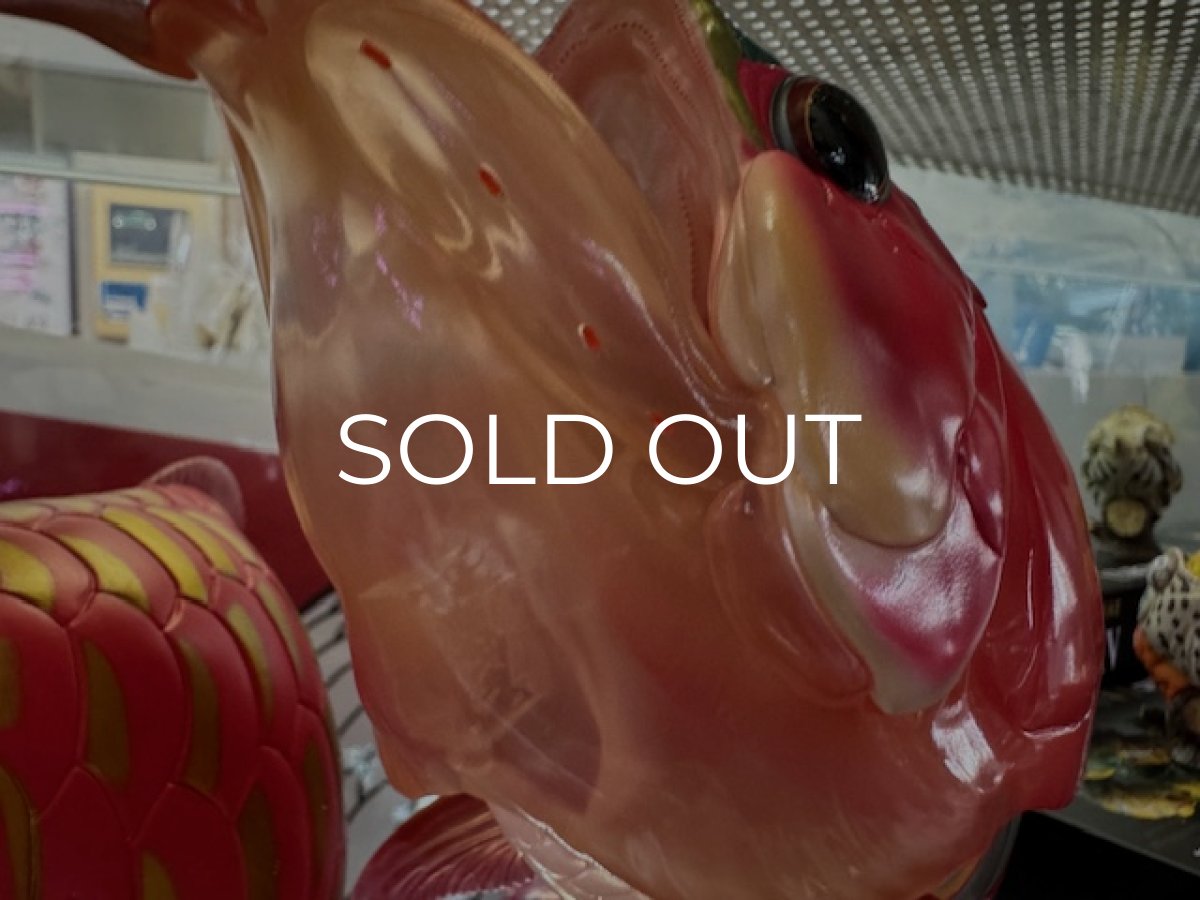 画像3:  アジアアロワナ紅龍 PLUS-2 (3)