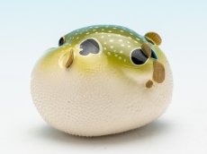 画像5: メフグ (5)