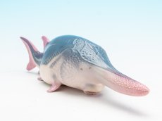 画像2: ハシナガチョウザメ (2)