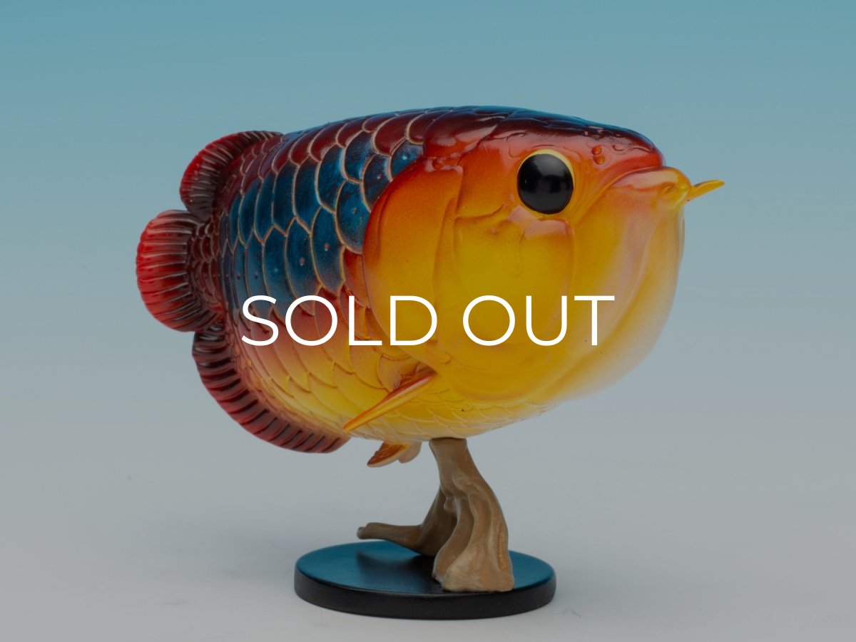 画像9: アジアアロワナ（シークレット） (9)