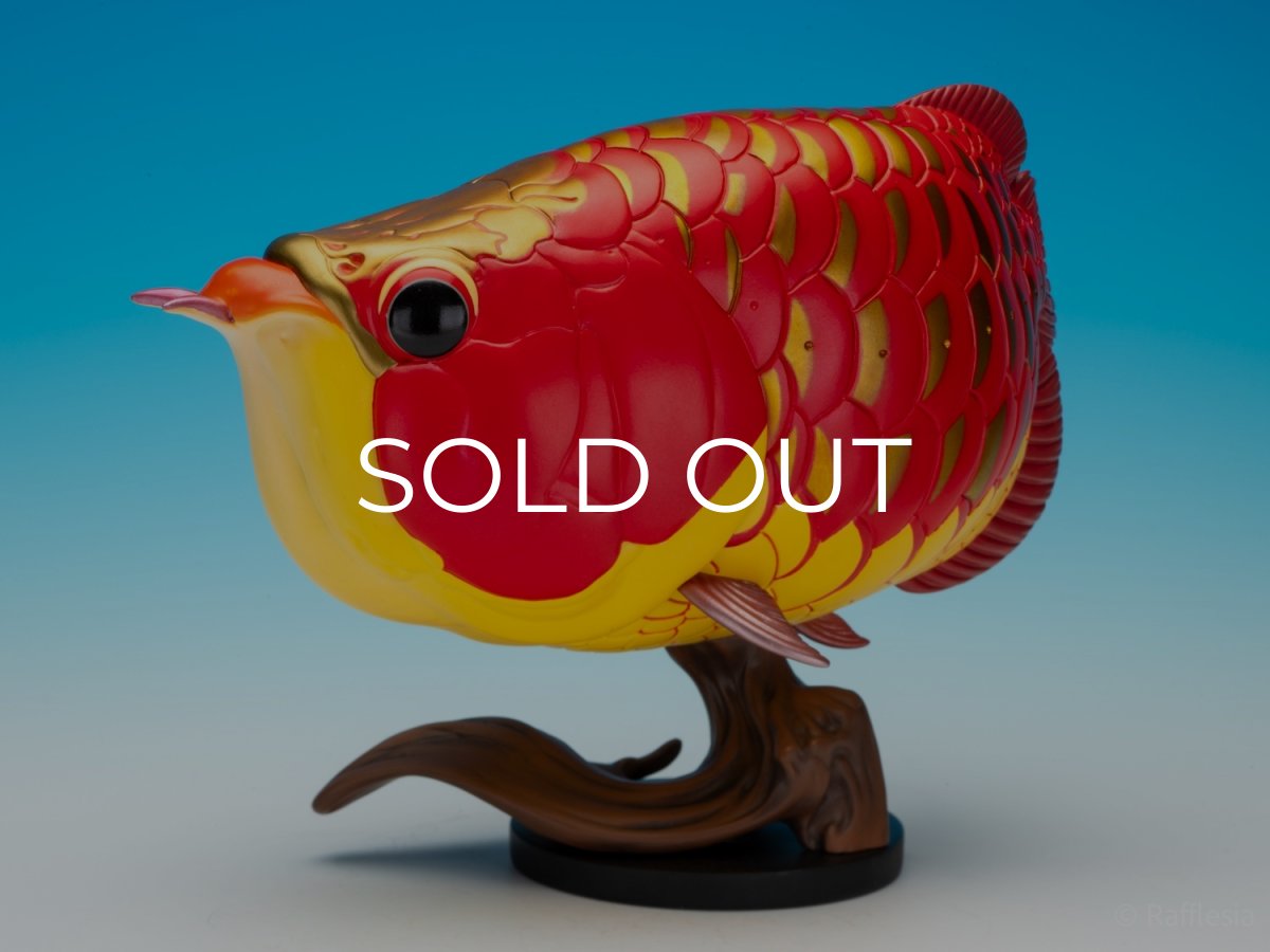 画像4: アジアアロワナ紅龍 PLUS (4)