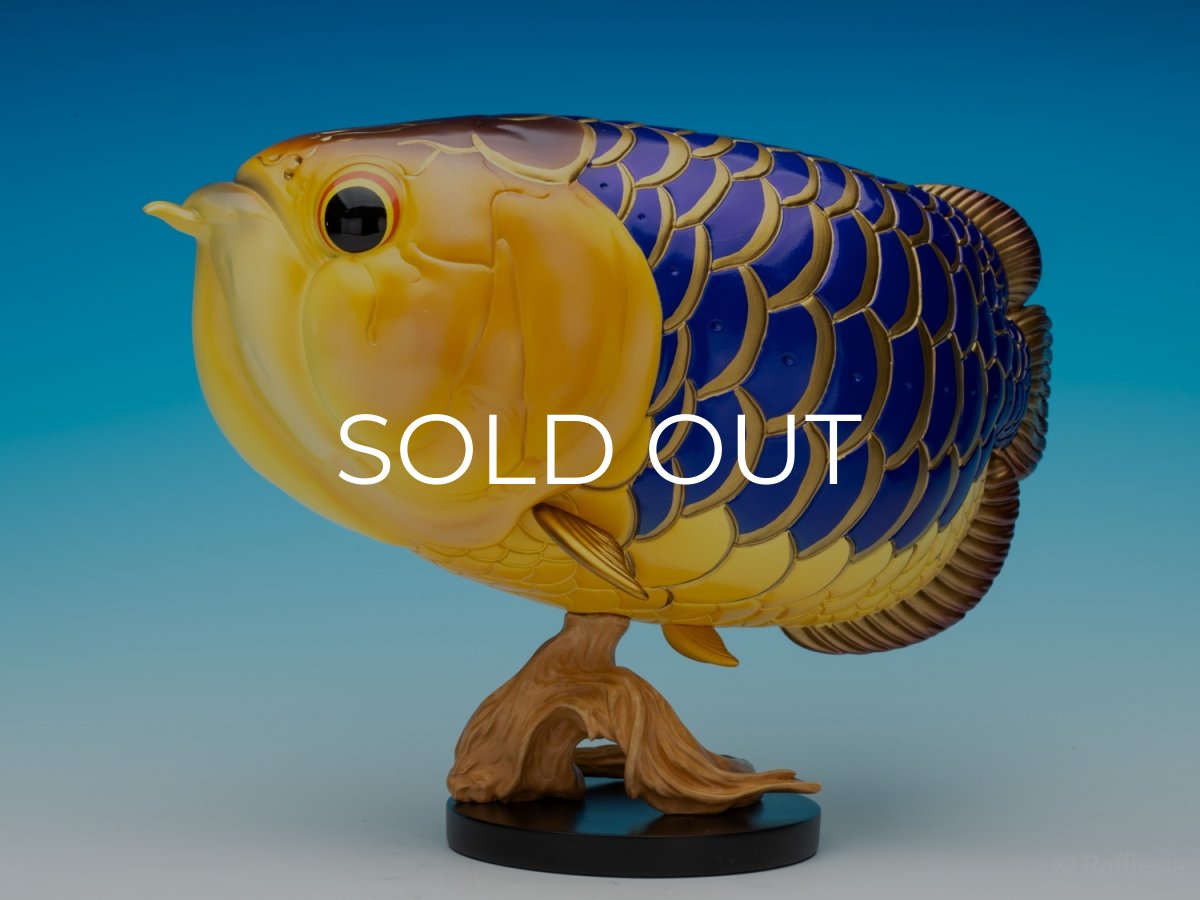 画像5: アジアアロワナ金龍 PLUS (5)