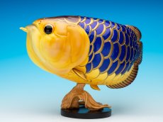 画像5: アジアアロワナ金龍 PLUS (5)