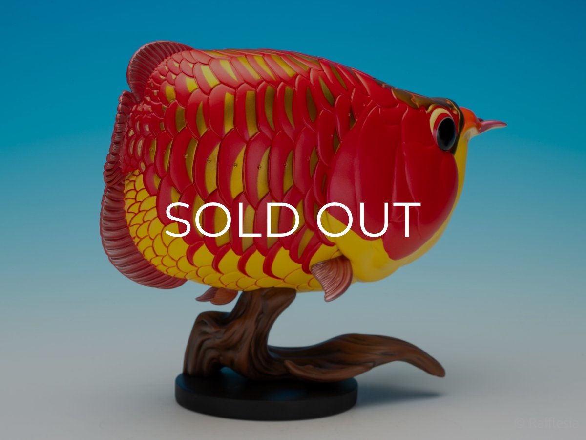 画像8: アジアアロワナ紅龍 PLUS (8)