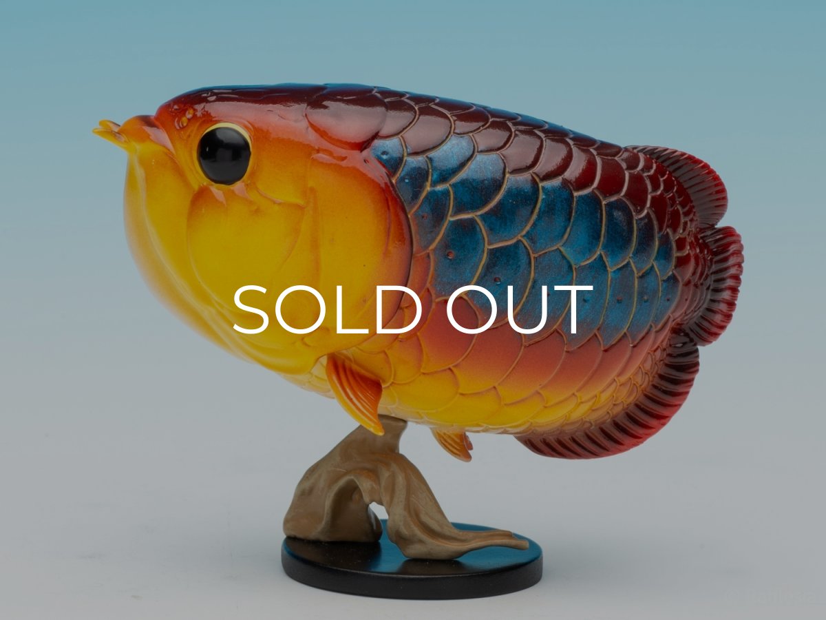 画像4: アジアアロワナ（シークレット） (4)