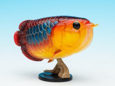 画像1: アジアアロワナ（シークレット） (1)