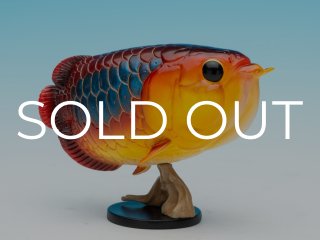 限定品 - アジアアロワナ専門店ラフレシア