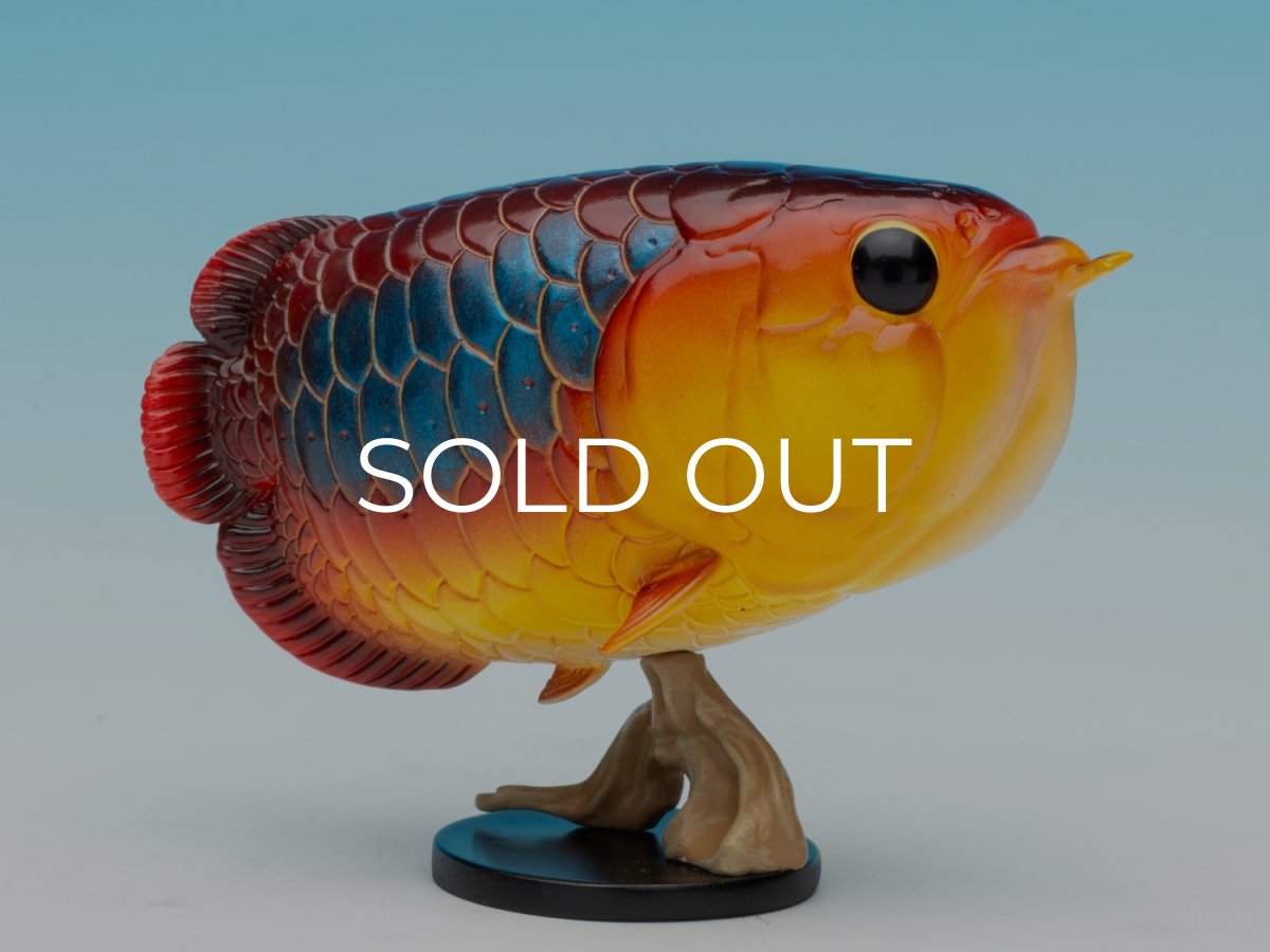 画像8: アジアアロワナ（シークレット） (8)