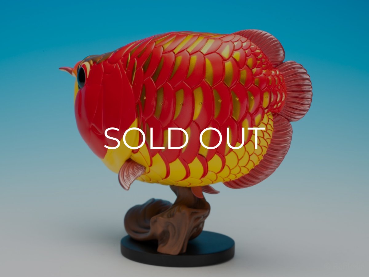 画像6: アジアアロワナ紅龍 PLUS (6)