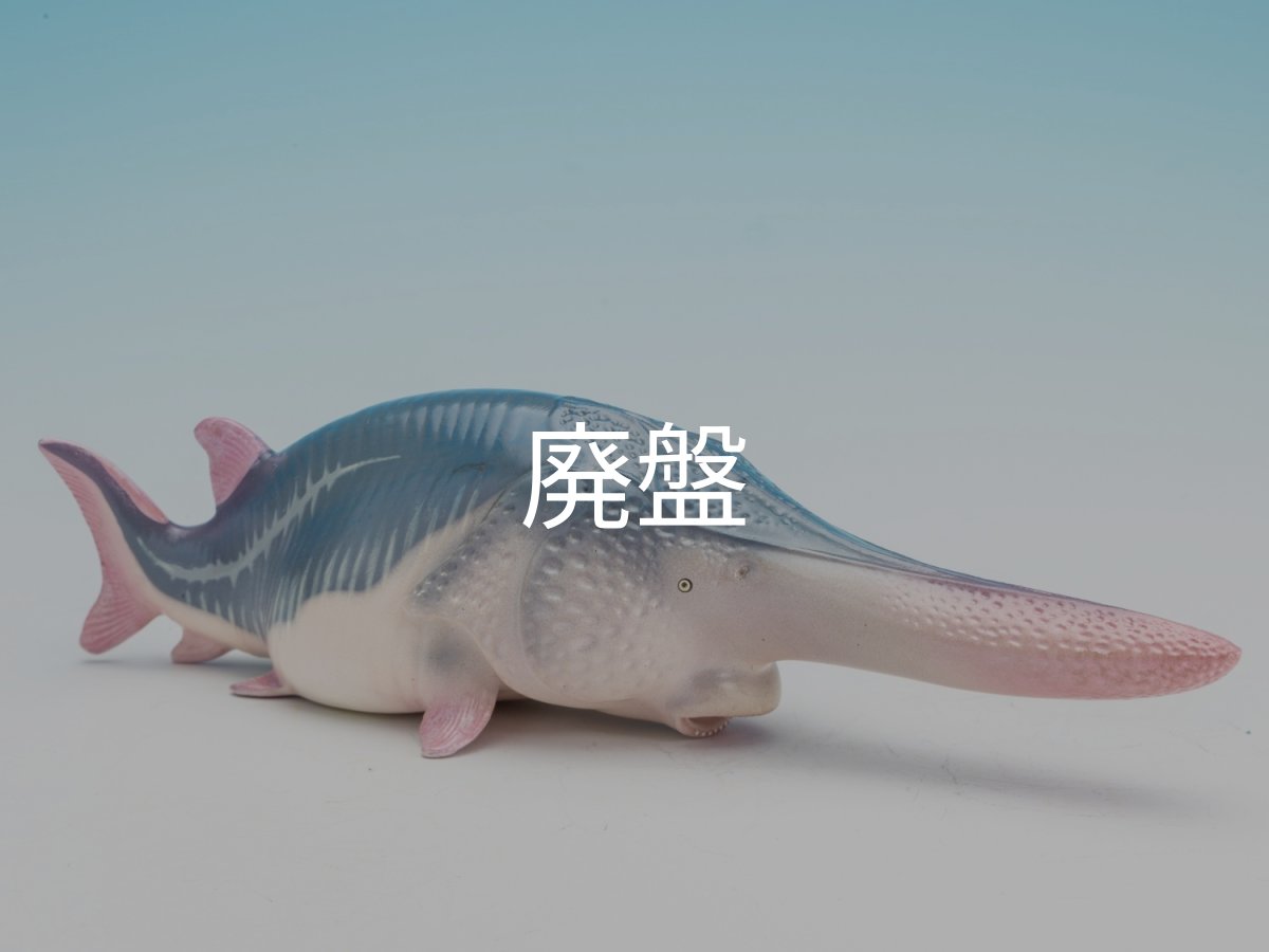 画像1: ハシナガチョウザメ (1)